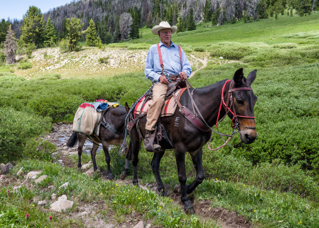 horse packing trips colorado